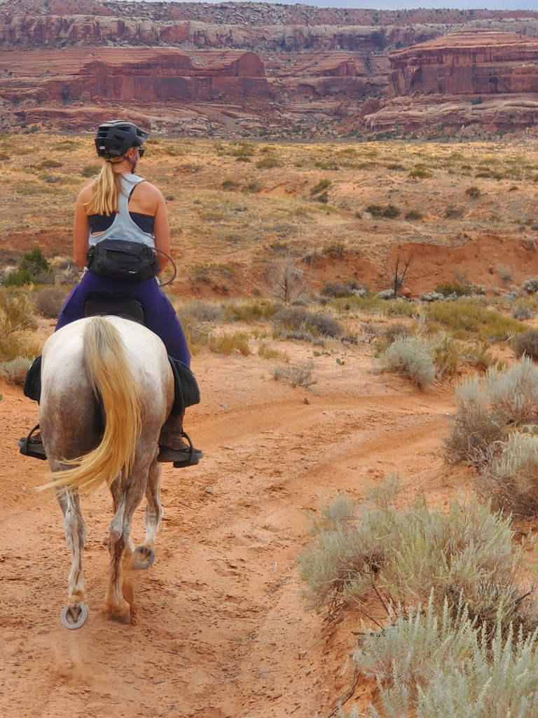 Ashley is a digital marketing consultant with deep expertise in social media, email marketing, influencer marketing, content marketing and digital advertising